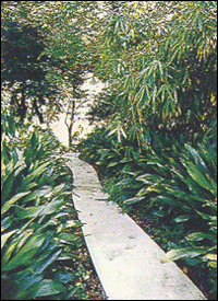 kudan10